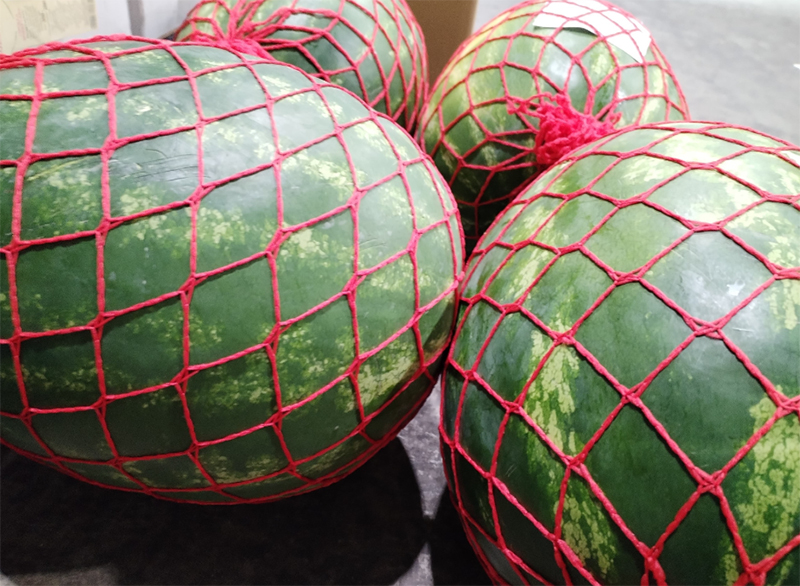 Angurie - Italia - 1,20/1,30 euro al chilogrammo